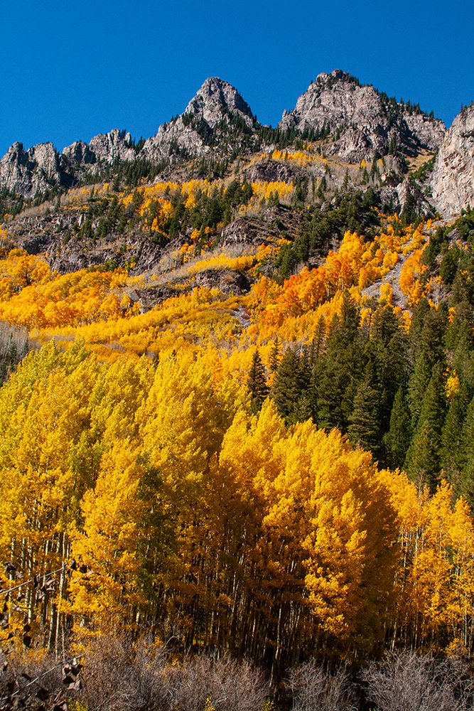 Maroon Bells-Snowmass Wilderness in autumn